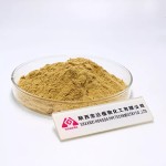 Lion's Mane Extract Factory - Custom Packaging OEM