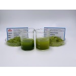 Matcha Powder Factory - Ceremonial Grade Green Tea