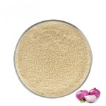 Onion Powder Supplier - Organic Red Dehydrated