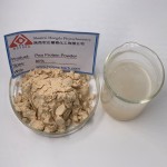 Pea Protein Concentrate Supplier - Vegetarian Meat Powder