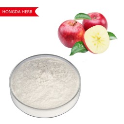 Apple Juice Powder Manufacturer - Bulk Extract Powder