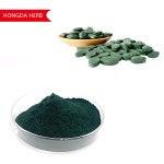 Resveratrol Powder Supplier - 50% Polygonum Extract