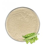 Pea Protein Powder Supplier - 80% Organic Food Grade