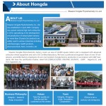 Biotin Powder Supplier - Vitamin Food Grade Pure