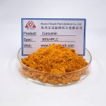 Turmeric Curcumin Extract Manufacturer - 95% Powder Organic