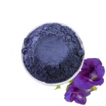 Blue Butterfly Pea Powder Factory - 99% Organic Natural