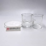 Inulin Powder Manufacturer - 90% Chicory Root Extract