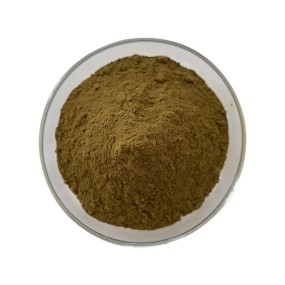 Turkesterone Powder Supplier - 2% Herbal Extract OEM