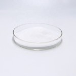 Inulin Powder Manufacturer - 90% Chicory Root Extract