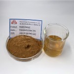Reishi Mushroom Powder Manufacturer - Ganoderma Extract