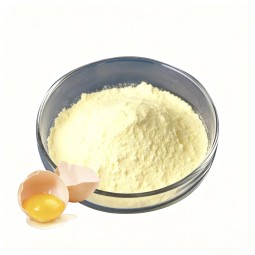 Egg Shell Powder Factory - Food Grade Suppliers