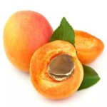Apricot Powder Factory - 100% Juice Concentrate Organic