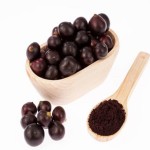 Brazilian Berry Powder Supplier - Juice Extract Water Soluble