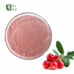 Cranberry Powder Supplier - Freeze Dried Juice Concentrate