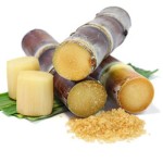 Sugar Cane Powder Supplier - Fruit Juice Powder Natural