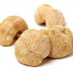 Hericium Peptide Manufacturer - Ericium Extract Powder