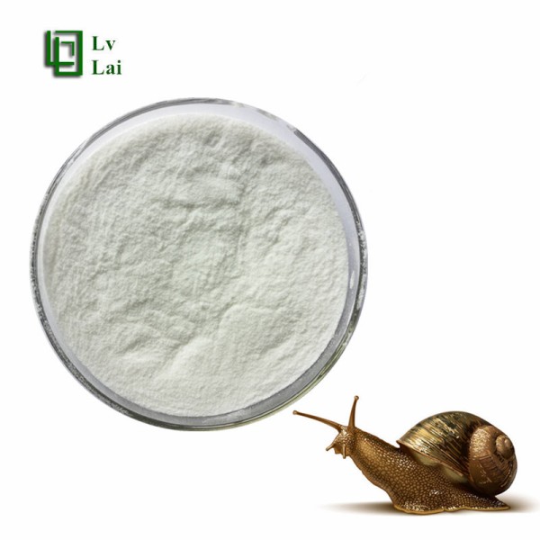 Snail Protein Powder Manufacturer - 60% Water Soluble Extract