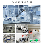 Wheat Fiber Powder Supplier - Dietary Fiber Extract Custom