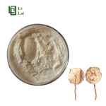 Sheep Placenta Powder Factory - High Purity Peptide Extract