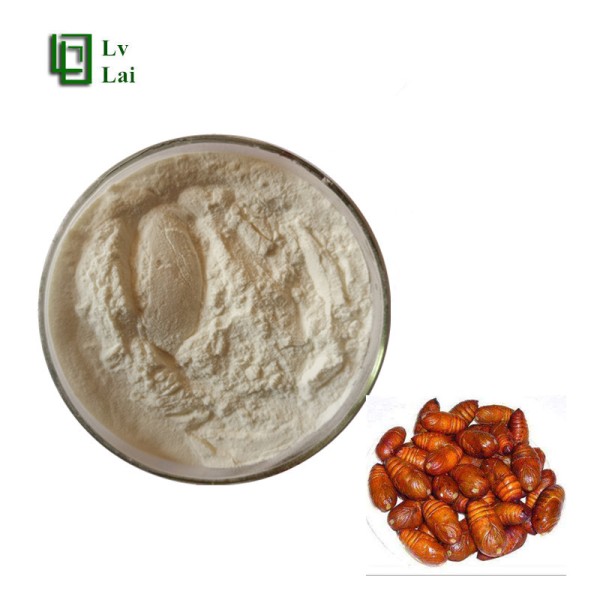 Silkworm Pupa Protein Manufacturer - Hydrolyzed Amino Acids