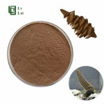 Leech Powder Supplier - Medicinal Extract Powder Custom