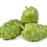 Noni Powder Factory - Private Label OEM Custom Service