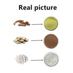 Blumea Extract Factory - Aroma Herbal Extract Natural