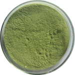 Celery Powder Manufacturer - Water Soluble Extract Natural