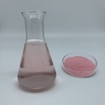 Pomegranate Fruit Powder Supplier - Juice Powder Food Grade