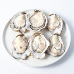 Oyster Powder Manufacturer - Medicated Water Soluble OEM