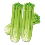 Celery Powder Manufacturer - Water Soluble Extract Natural