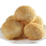 Hericium Peptide Manufacturer - Ericium Extract Powder