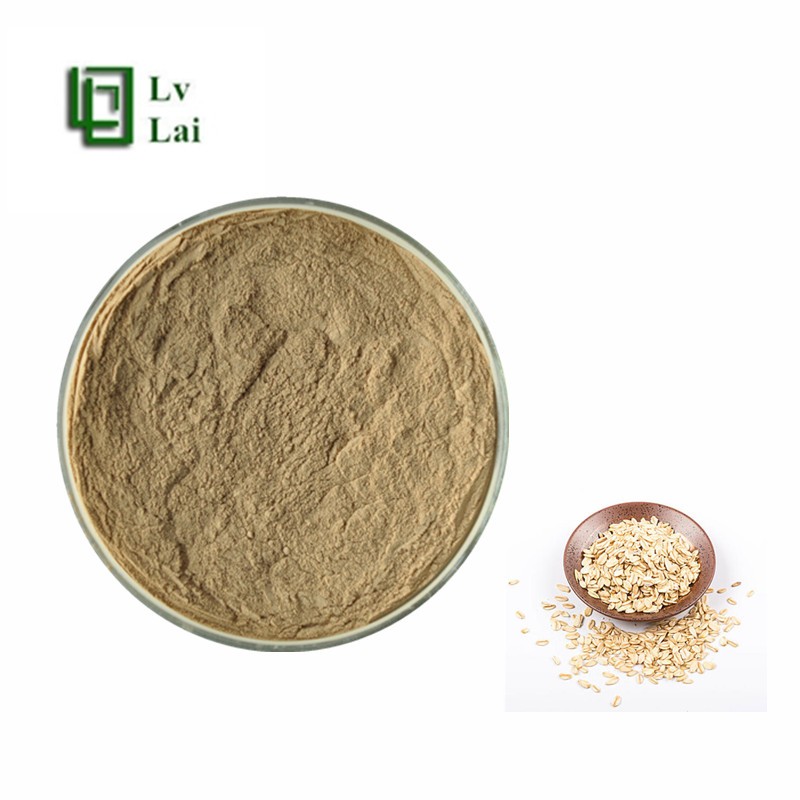 Oat Fiber Powder Manufacturer - Dietary Fiber Extract Bulk