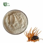 Cordyceps Militaris Extract Manufacturer - Peptide Powder