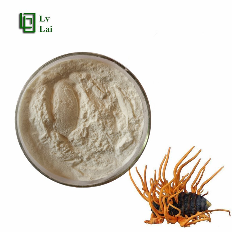 Cordyceps Militaris Extract Manufacturer - Peptide Powder