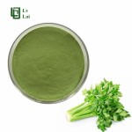 Celery Powder Manufacturer - Water Soluble Extract Natural