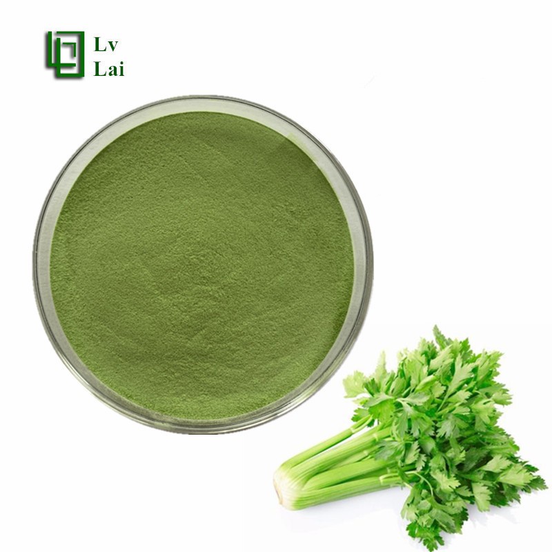 Celery Powder Manufacturer - Water Soluble Extract Natural