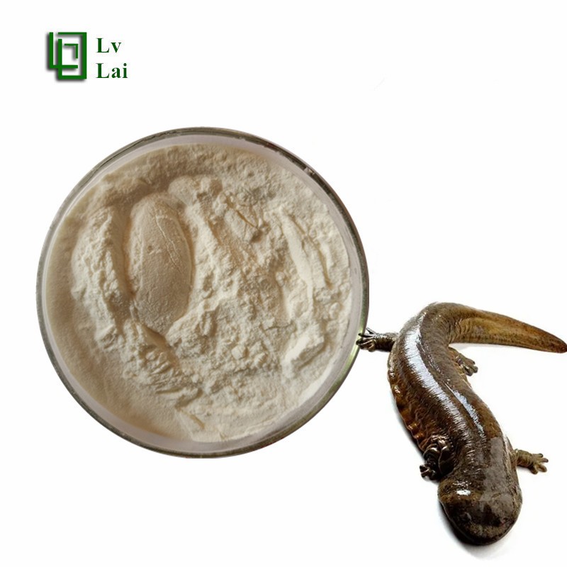 Giant Salamander Peptide Supplier - Oligopeptide Nutritional