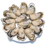 Oyster Powder Manufacturer - Medicated Water Soluble OEM