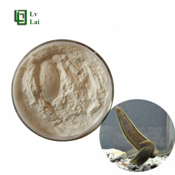 Leech Peptide Supplier - Protein Peptide High Purity