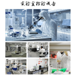 Mango Powder Manufacturer - Fruit Juice Concentrate Custom