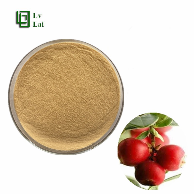 Fruit Juice Powder Factory - Camu Camu Extract Food Grade