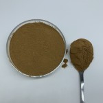 Peach Gum Powder Manufacturer - Water Soluble Extract Bulk