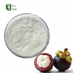 Mangosteen Powder Manufacturer - Fruit Juice Powder Premium