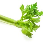 Celery Powder Manufacturer - Water Soluble Extract Natural