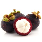 Mangosteen Powder Manufacturer - Fruit Juice Powder Premium