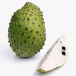 Soursop Powder Manufacturer - Fruit Juice Powder Premium