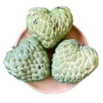 Soursop Powder Manufacturer - Fruit Juice Powder Premium