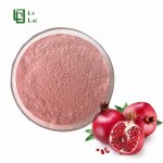 Pomegranate Fruit Powder Supplier - Juice Powder Food Grade