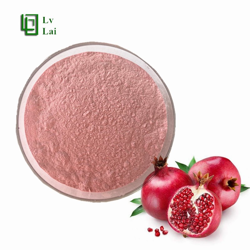 Pomegranate Fruit Powder Supplier - Juice Powder Food Grade